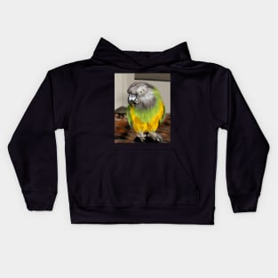 Mischievous Parakeet Kids Hoodie